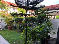 The Countryside (D26), Terrace #544375251